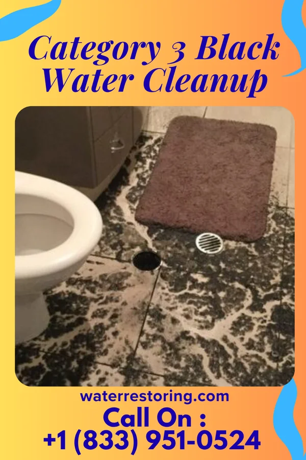 Category 3 Black Water Cleanup in Plymouth, NC