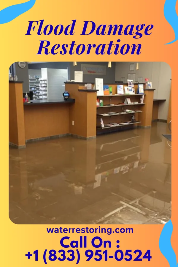 Flood Damage Restoration in Plymouth, NC