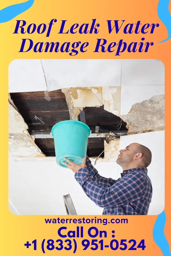 Roof Leak Water Damage Repair in Plymouth, NC