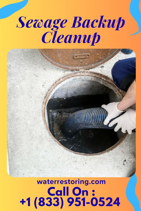 Sewage Backup Cleanup in Plymouth, NC